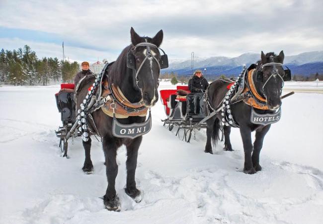 Two horses each pulling a single a sleigh stand in the snow at the Omni Mount Washington Hotel