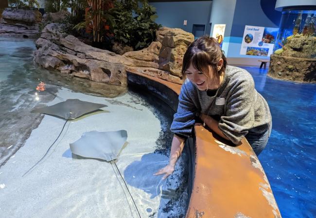 Living Shores Aquarium - Ray Touch Pool