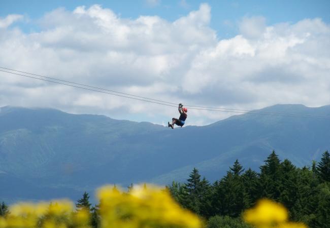 Bretton Woods Canopy Tour