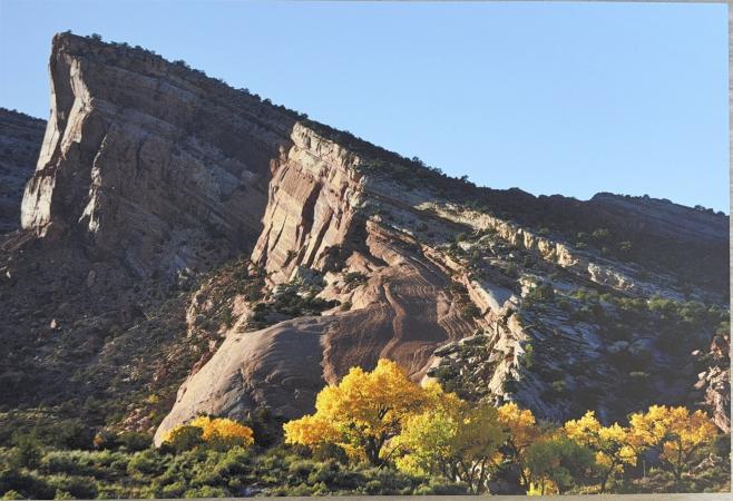 Fall at the Island by Rick Ahern