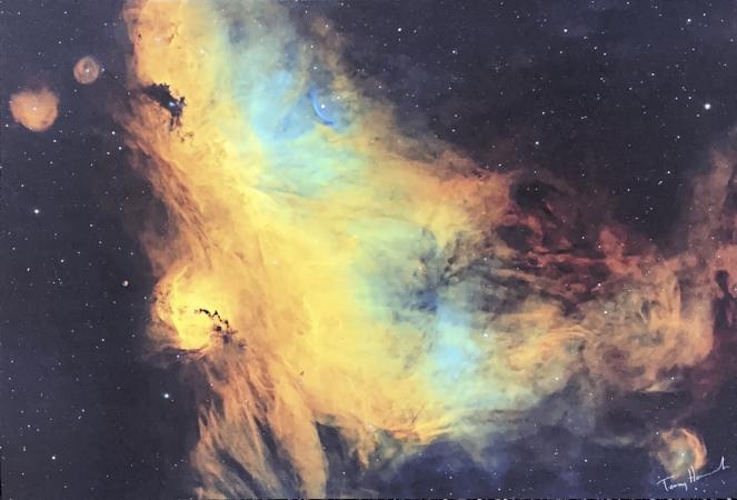 The Seagull Nebula By Terry Hancock