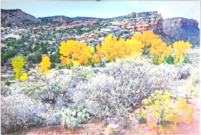 October Morning by Rick Ahern