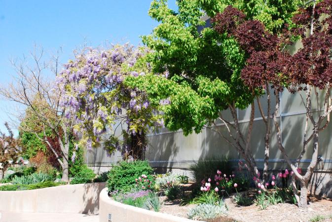 Western Colorado Botanical Gardens