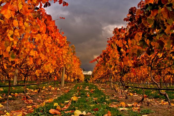 Fall