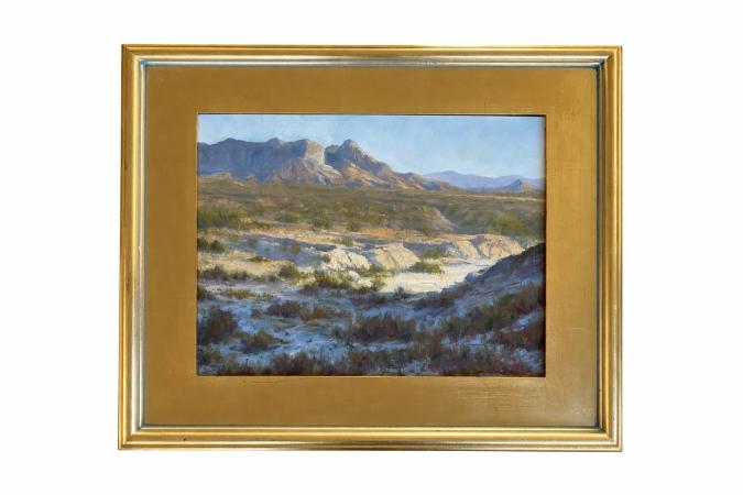 Afternoon Shadows - Big Bend National Park, Texas by John Edwards