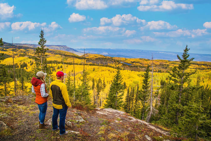 A Male and A Female Look out at the Fall Colors on the Grand Mesa