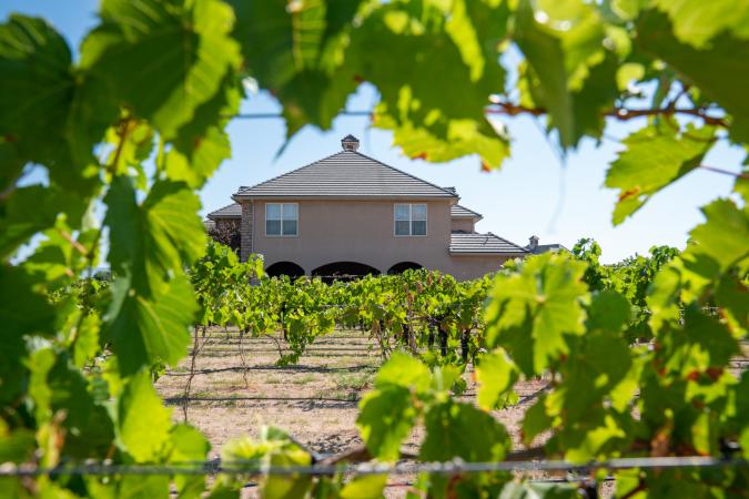 View of Vineyard at Two Rivers Winery & Chateau