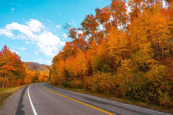 View of Fall Colors on the Grand Mesa Scenic Byway