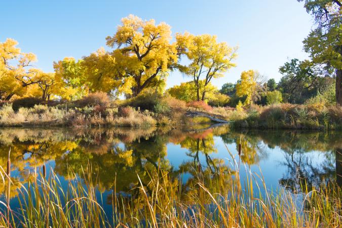 View of Fall Colors at Connected Lakes