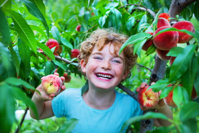 Child in Peach Orchard
