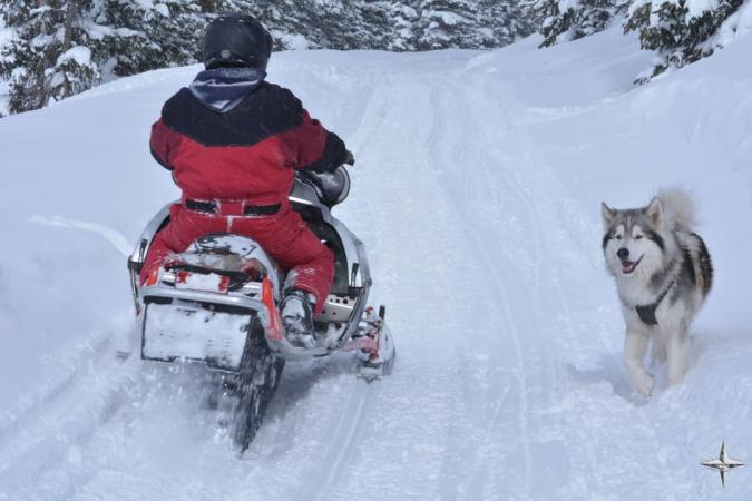 A Guide to the Grand Mesa - The Largest Flat-Top Mountain in the World 