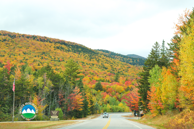 Waterville Valley Fall Foliage