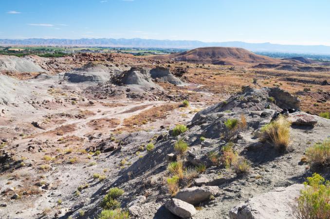 View of the Fruita Paleo Area