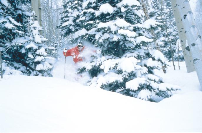 A Guide to the Grand Mesa - The Largest Flat-Top Mountain in the World 
