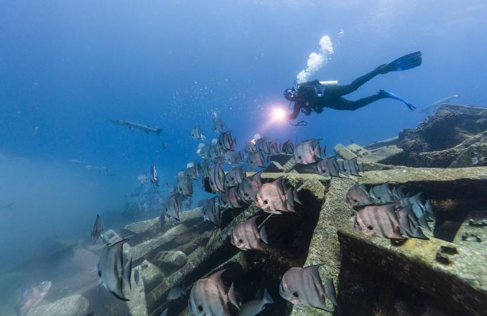 Diver Exploring the RGV