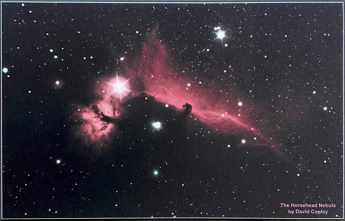 The Horsehead Nebula by David Copley
