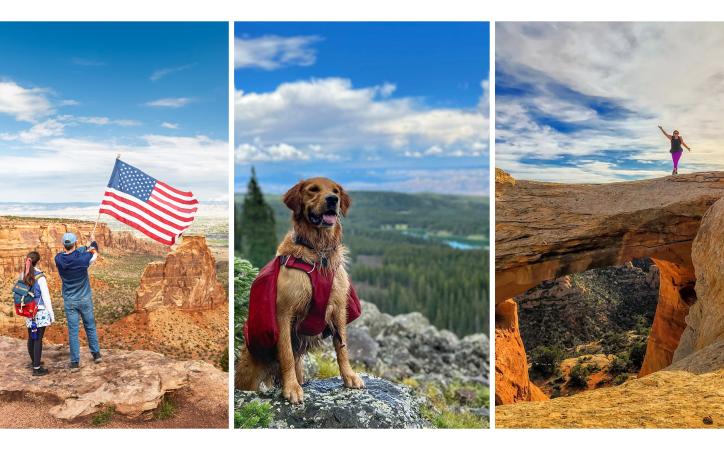 Nature's Trifecta - Blog Page Cover Image