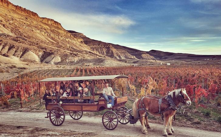 JR's Carriage Service