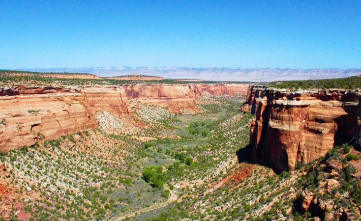 View of a canyon in Colorado National Monument