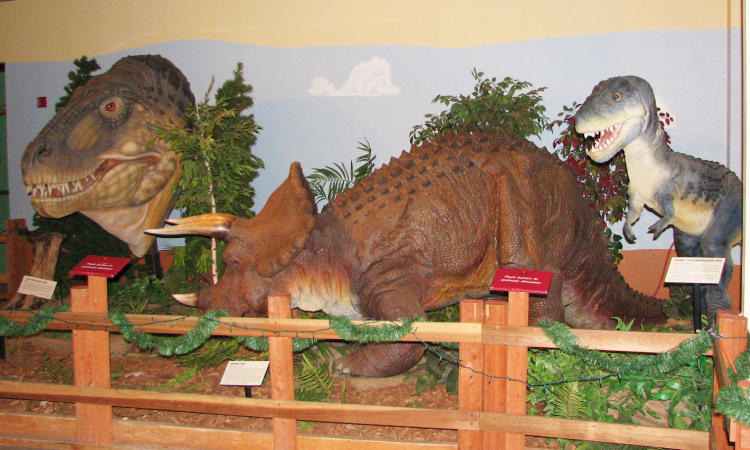 Dinosaur Statues at Dinosaur Journey Museum