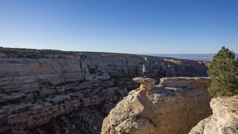 An Insider's Guide to Colorado National Monument