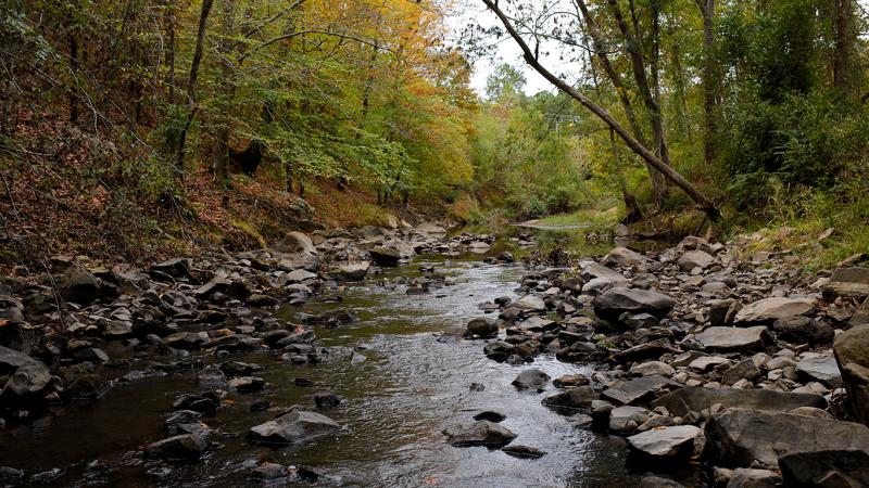 Morgan Creek accessed by Morgan Creek Trail