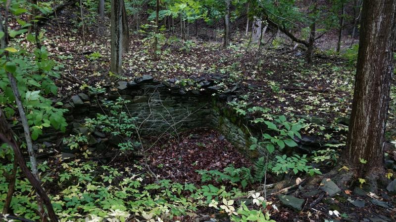 An old cobblestone foundation is set into the ground, long since abandoned to nature.