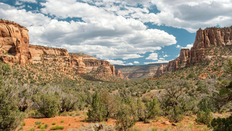 View of Devil's Canyon in Colorado National Monument