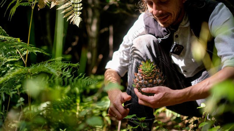 A forager with wild edibles in his hand