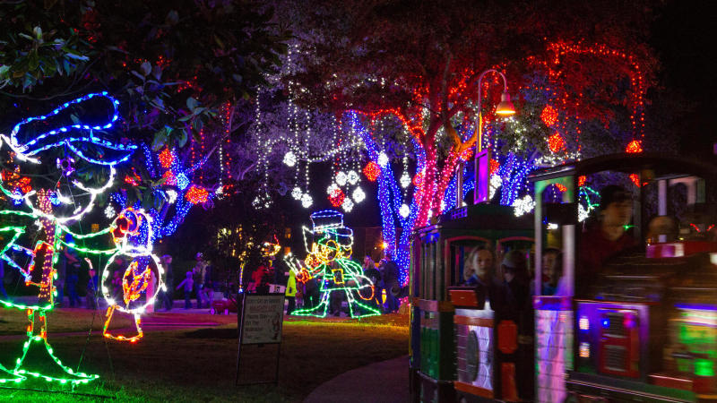 Holiday Lights at Moody Gardens
