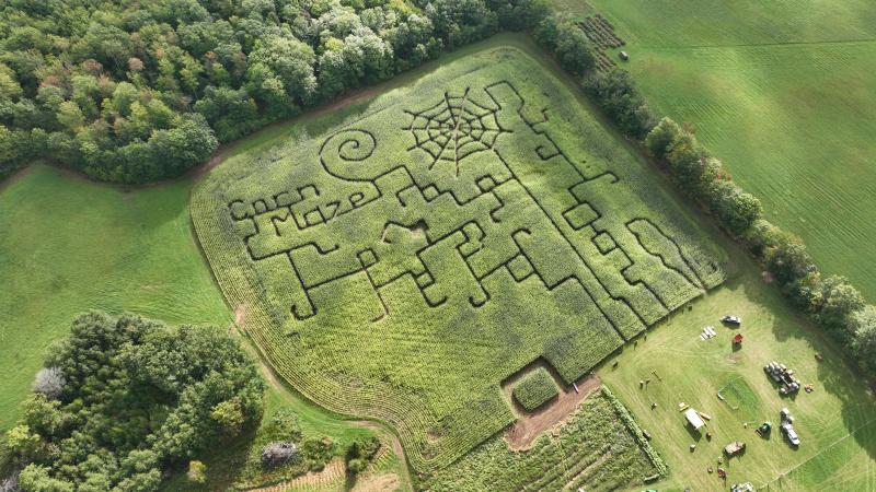 Palosaari Corn Maze