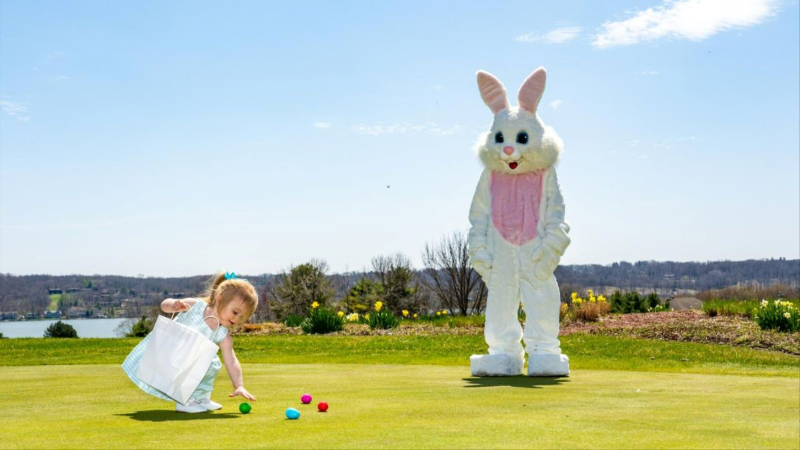 A little girl hunting eggs on a golf course with the Easter Bunny