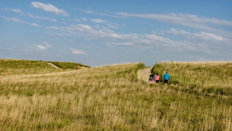 Konza Prairie