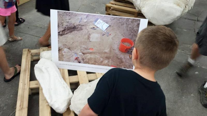 A young visitor looks at recently arrived dinosaur fossils at the Southern Indiana Paleontology Institute, along with a photo of where they were discovered.