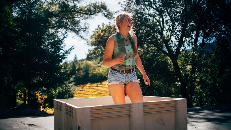 Chelsea Hoff of Fantesca Estate & Winery enjoys grape stomping after harvesting the wine grapes.