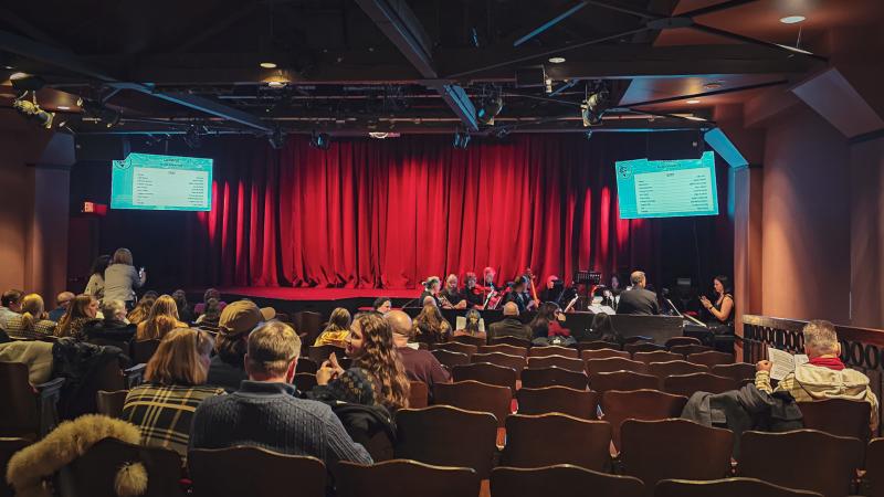 Live Performance at Theatre Woodstock