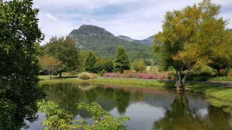 Morse Park Pond Show