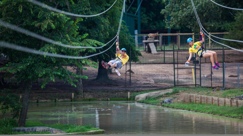 ZiplineGatorandFriends