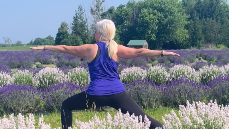 purple haven lavender