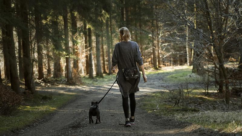 woman and dog on trail