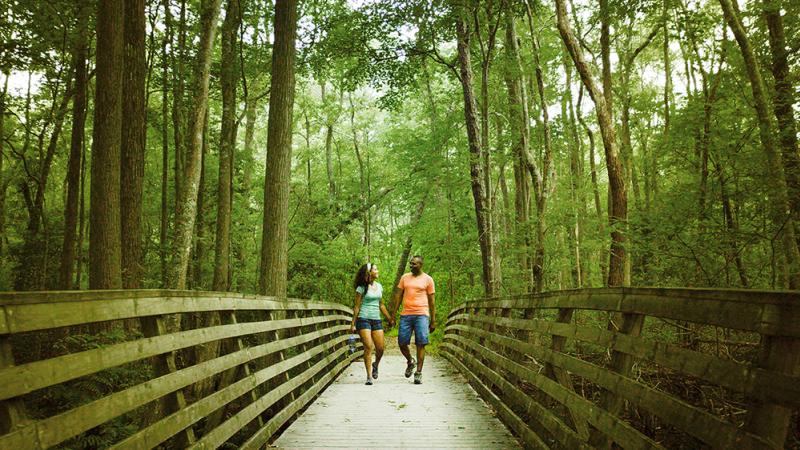 First Landing State Park Hiking