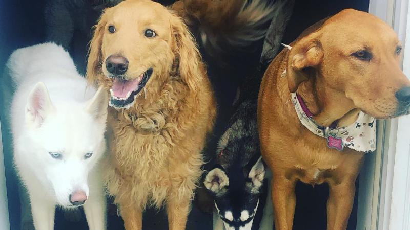 Daycare pics 4