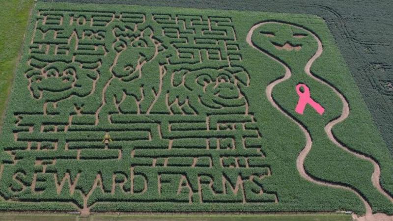 Seward Farms Maze