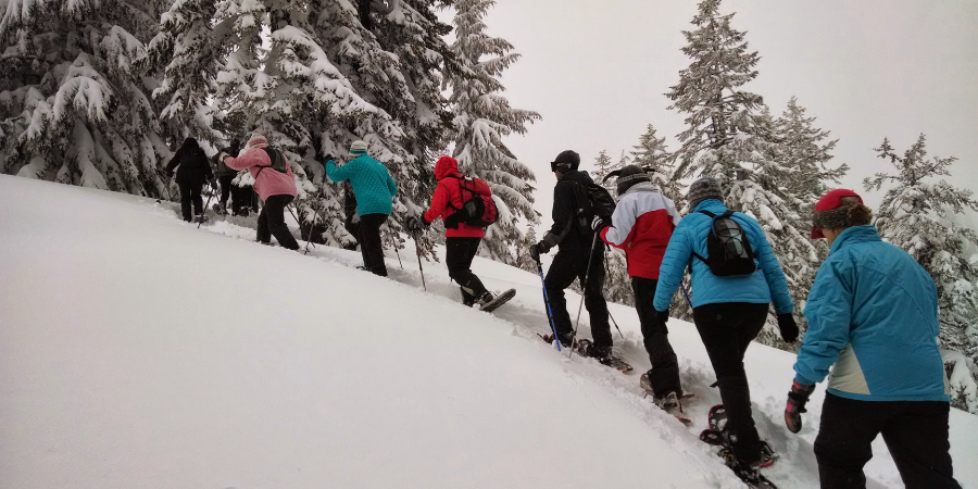 Fun winter activities in Bellevue