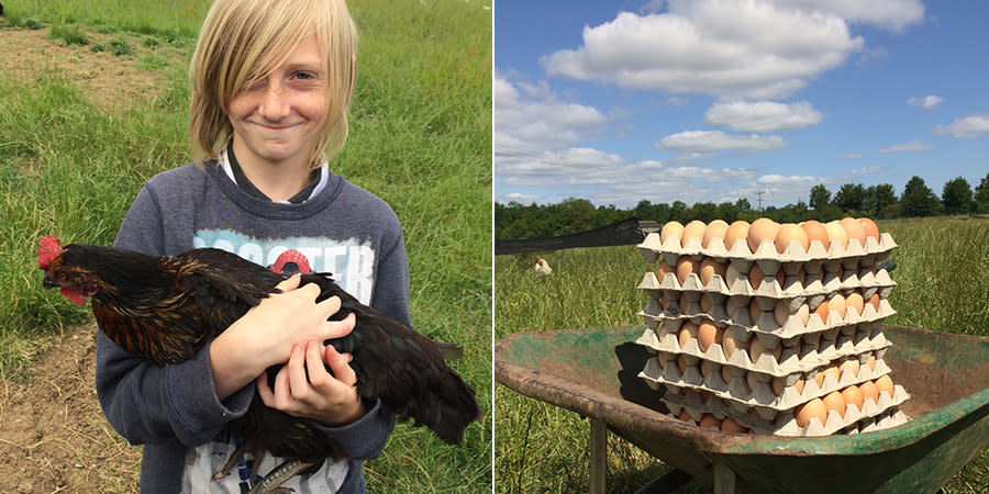 Kids Farm Days at Abbey Home Farm