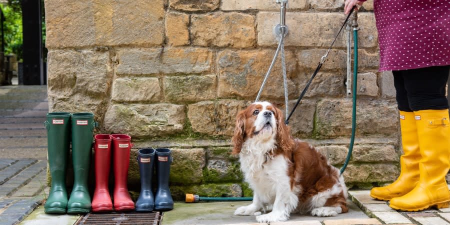 Dog enjoying the doggy wash at The Lygon Arms
