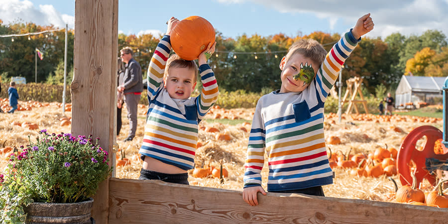 Pumpkin Patch