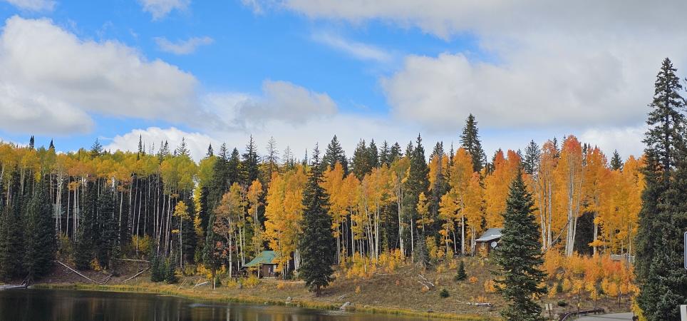 Grand Mesa in Autumn