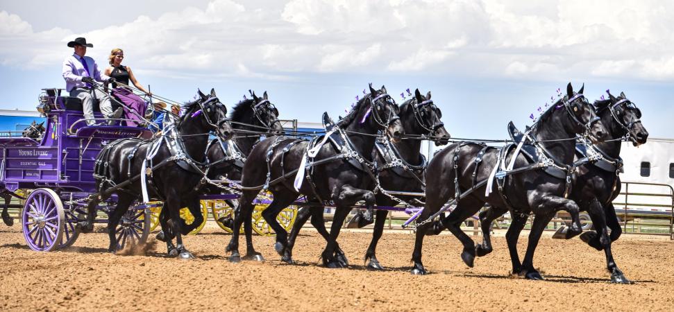 Events During Memorial Day Weekend in Grand Junction