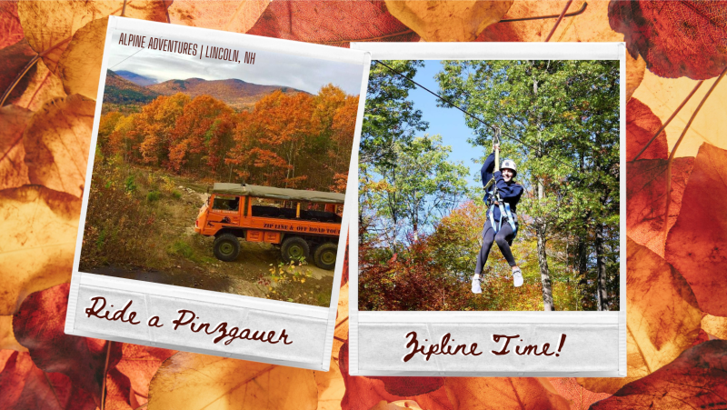 Fall Foliage Two Day -  Alpine Adventures